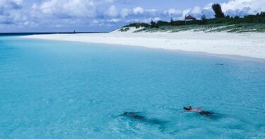 オーボエ初心者必見！独学で成長するための効果的な練習法