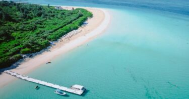 オーボエに向いている人の特徴と適性、その理由とは？