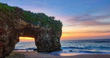 オーボエ初心者へ贈る、選び方・吹き方・練習法のすべて